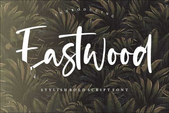 Eastwood: The Script Font That Elevates Your Brand