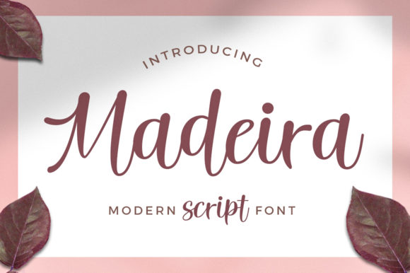 Font Review: Madeira for Campaign Design